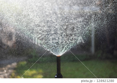 Fixed spray head sprinkler watering in backyard. 128921280