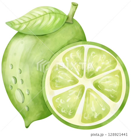 Watercolor hand drawn lime fruit cartoon 128921441