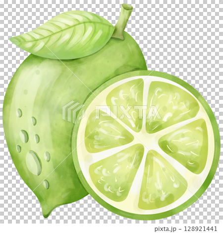 Watercolor hand drawn lime fruit cartoon 128921441