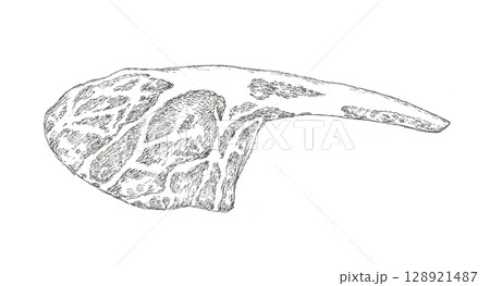 骨付き肉をイメージした手描きイラスト 128921487