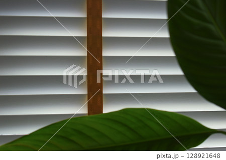white window blinds and green leaf in home, object for decorate interior of house white window blinds and green leaf in home, object for decorate interior of house 128921648