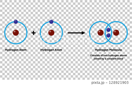 Two hydrogen atoms combine to form a hydrogen molecule through a covalent bond, sharing electrons to achieve stability and create the simplest diatomic molecule in nature Two hydrogen atoms combine to form a hydrogen molecule through a covalent bond, sharing electrons to achieve stability and create the simplest diatomic molecule in nature 128921903
