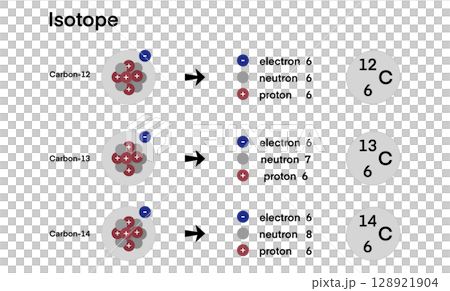 Three isotopes of carbon Carbon-12, Carbon-13, and Carbon-14 share the same number of protons and electrons but differ in neutron count, illustrating atomic variation in stable and radioactive forms 128921904