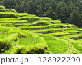 丸山千枚田の棚田 128922290