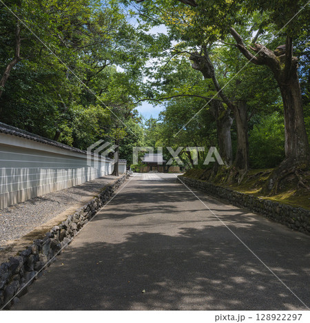 京都 広隆寺 夏の参道風景 京都 広隆寺 夏の参道風景 128922297