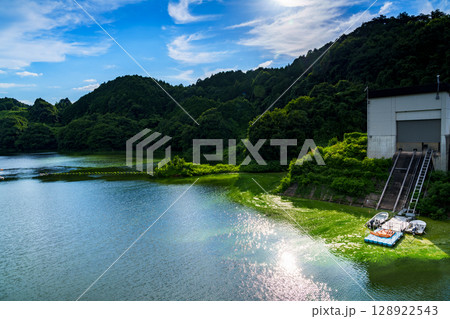 記録写真　奈良布目ダムで大量に発生し西側護岸に吹き寄せられた　アオコ① 128922543