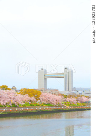 春の愛知県名古屋市、満開の桜とセンチュリーホールの風景 春の愛知県名古屋市、満開の桜とセンチュリーホールの風景 128922783