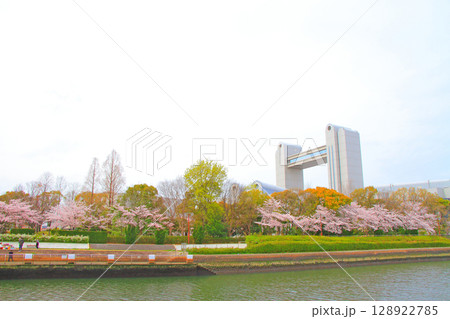 春の愛知県名古屋市、満開の桜とセンチュリーホールの風景 128922785
