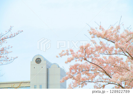 春の愛知県名古屋市、満開の桜とセンチュリーホールの風景 128922789