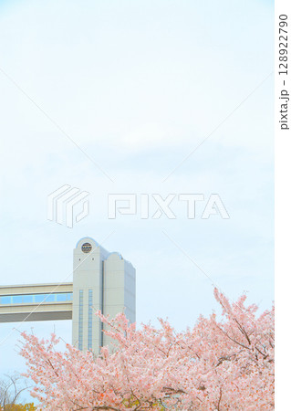 春の愛知県名古屋市、満開の桜とセンチュリーホールの風景 128922790
