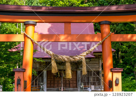 瀧神社の鳥居と注連縄とその奥に見える拝殿 128923207