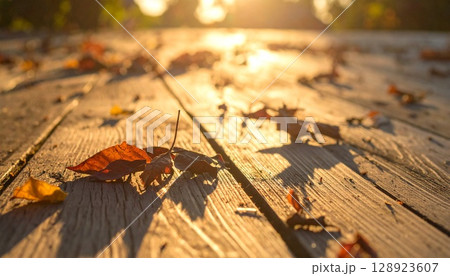 ゴールデンアワーの木の床と落ち葉の風景 ゴールデンアワーの木の床と落ち葉の風景 128923607