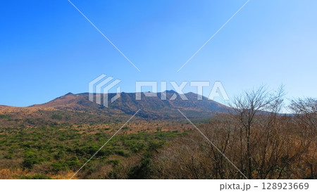 椿が満開の伊豆大島にそびえたつ三原山は圧巻 128923669