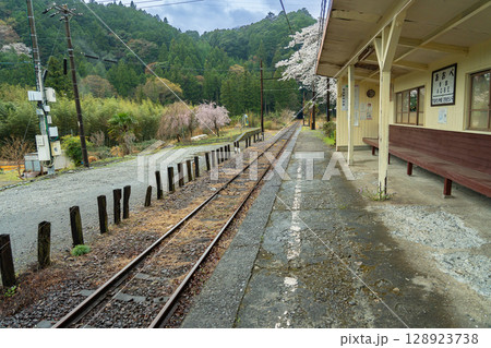 静岡県川根本町　大井川鐵道大井川本線の駅　雨降りの春の青部駅 128923738