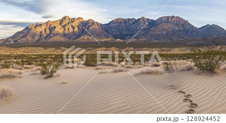 Desert Landscape Footprints Sand Dunes Majestic Mountain Range Scenic Vista sun sky wild arid view Desert Landscape Footprints Sand Dunes Majestic Mountain Range Scenic Vista sun sky wild arid view 128924452