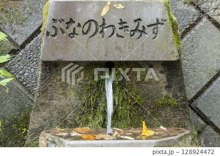 群馬県玉原にあるブナの湧き水(ぶなのわきみず) 群馬県玉原にあるブナの湧き水(ぶなのわきみず) 128924472