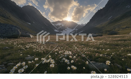 Majestic Mountain Meadow Sunset Serene Alpine Flowers Wildflower Landscape Breathtaking Nature Majestic Mountain Meadow Sunset Serene Alpine Flowers Wildflower Landscape Breathtaking Nature 128924513