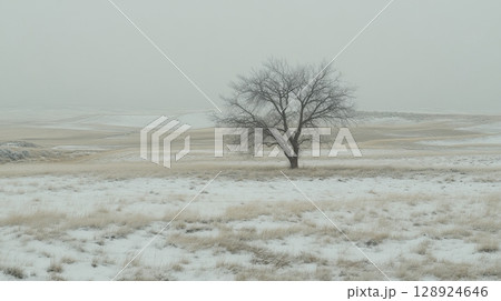 Solitary Winter Tree Snowy Field Landscape Peaceful Nature Scene Serene Wintertime Bare Branches Solitary Winter Tree Snowy Field Landscape Peaceful Nature Scene Serene Wintertime Bare Branches 128924646