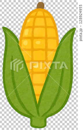 Corn Corn 128924955