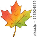 Multicolor Maple Leaf 128924989