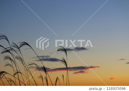 夕焼け空とススキ 128925096