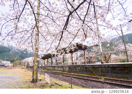 静岡県川根本町　大井川鐵道大井川本線の駅　雨あがりの春の駿河徳山駅 128925618
