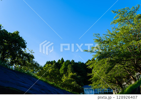 散歩の途中で見つけた光景 128926407