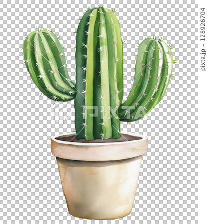 Illustration of Cactus 128926704