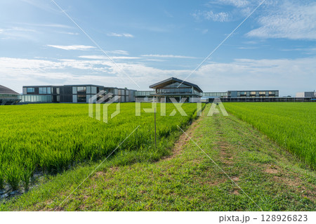 スイデンテラス スイデンテラス 128926823