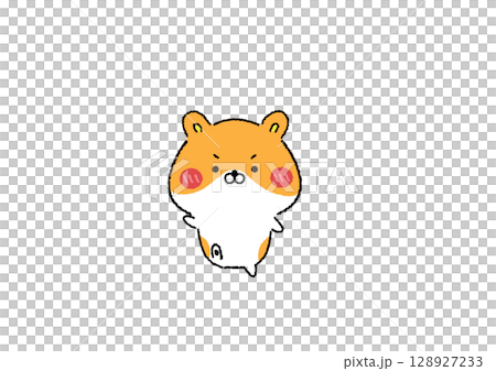 ゆる可愛いゴールデンハムスター ゆる可愛いゴールデンハムスター 128927233