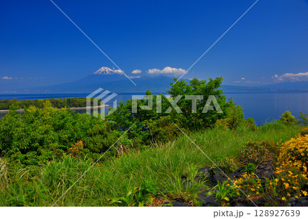 中部地方・伊豆半島・大瀬崎・富士山ビュースポット西浦江梨、駐車場からの眺め・静岡県沼津市西浦(5) 中部地方・伊豆半島・大瀬崎・富士山ビュースポット西浦江梨、駐車場からの眺め・静岡県沼津市西浦(5) 128927639