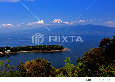 中部地方・伊豆半島・大瀬崎・海外でも有名な和風の景色、大瀬崎と駿河湾と富士山・静岡県沼津市西浦(2) 128927881