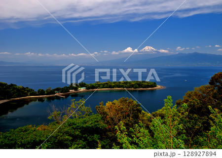 中部地方・伊豆半島・大瀬崎・西伊豆を代表する絶景、大瀬崎と駿河湾と富士山・静岡県沼津市西浦(3) 128927894