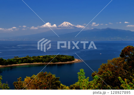 中部地方・伊豆半島・大瀬崎・西伊豆を代表する絶景、大瀬崎と駿河湾と富士山・静岡県沼津市西浦(4) 128927895