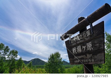 夏の戦場ヶ原で見るハロ（日暈） 栃木県日光市 128927985