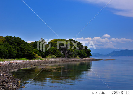 中部地方・伊豆半島・大瀬崎・ダイビングスポット、大瀬海水浴場からの眺め・静岡県沼津市西浦(3) 128928110
