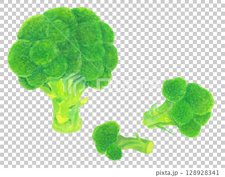 Broccoli illustration material drawn in watercolor 128928341