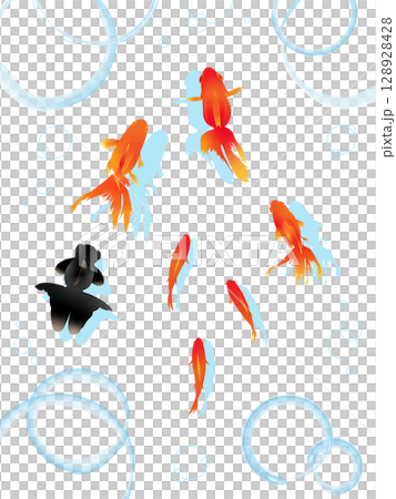 泳ぐ金魚のイラスト 128928428