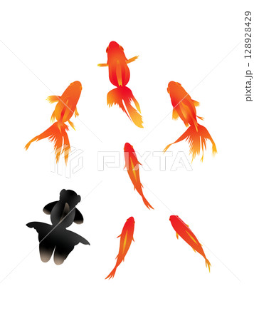 水彩風の金魚のイラスト 128928429