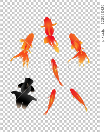 水彩金魚圖 128928429