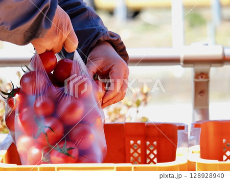 トマトの詰め放題・2 128928940