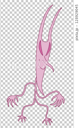 シンプルでかわいいピンク色の悪魔 128929045