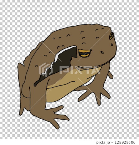 坐著的蟾蜍 128929506