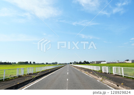 杉戸町の道路_03 128929824
