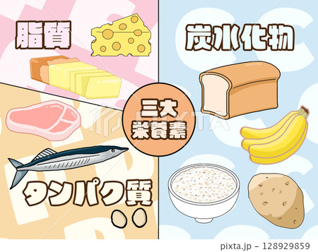三大栄養素(PFCバランス)のイラスト(四角形)(日本語) 三大栄養素(PFCバランス)のイラスト(四角形)(日本語) 128929859