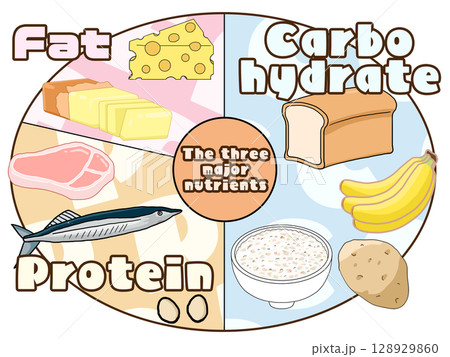 三大栄養素(PFCバランス)のイラスト(円形)(英語) 三大栄養素(PFCバランス)のイラスト(円形)(英語) 128929860