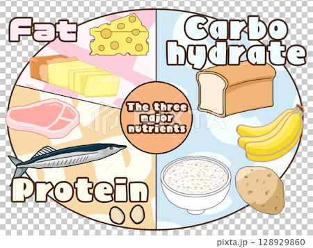 三大栄養素(PFCバランス)のイラスト(円形)(英語) 三大栄養素(PFCバランス)のイラスト(円形)(英語) 128929860