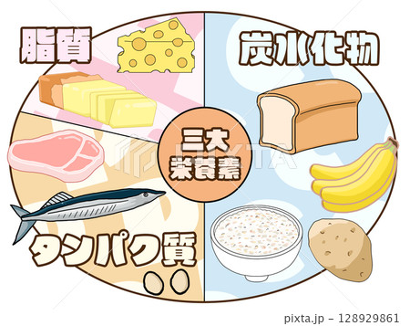 三大栄養素(PFCバランス)のイラスト(円形)(日本語) 三大栄養素(PFCバランス)のイラスト(円形)(日本語) 128929861