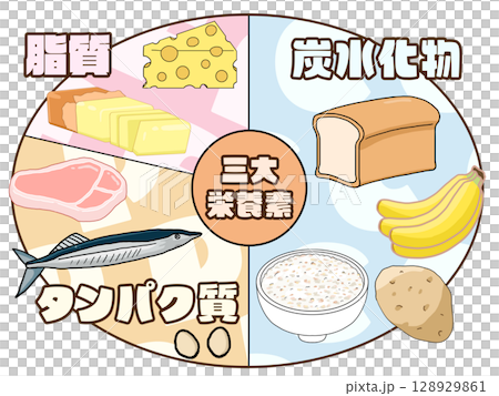 三大栄養素(PFCバランス)のイラスト(円形)(日本語) 三大栄養素(PFCバランス)のイラスト(円形)(日本語) 128929861