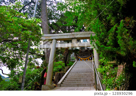 中部地方・伊豆半島・大瀬崎・淡水の神池で有名な大瀬神社の境内、参道の鳥居・静岡県沼津市西浦(1) 128930296